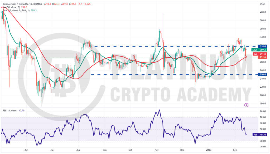 BNB/USD